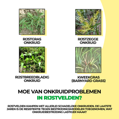 Glyphosaat herbicide met hoge concentratie, onkruidverdelger met ammoniumzout