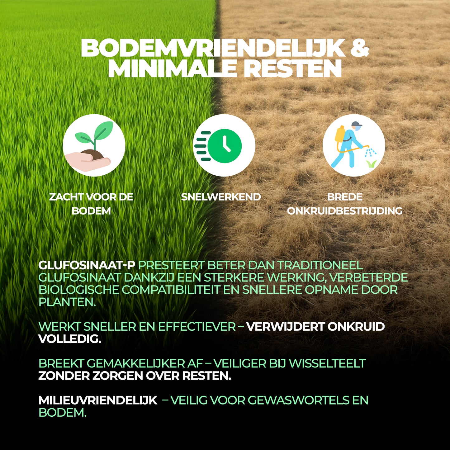Glyphosaat herbicide met hoge concentratie, onkruidverdelger met ammoniumzout
