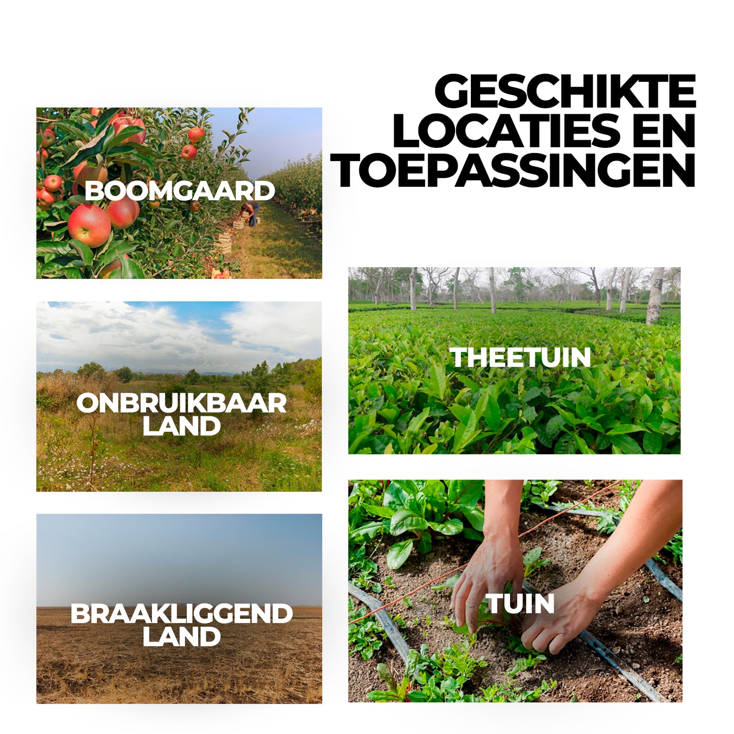 Glyphosaat herbicide met hoge concentratie, onkruidverdelger met ammoniumzout
